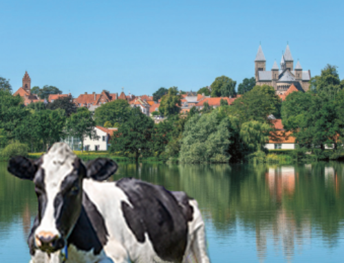 Dansk Holsteins Årsmøde 2023